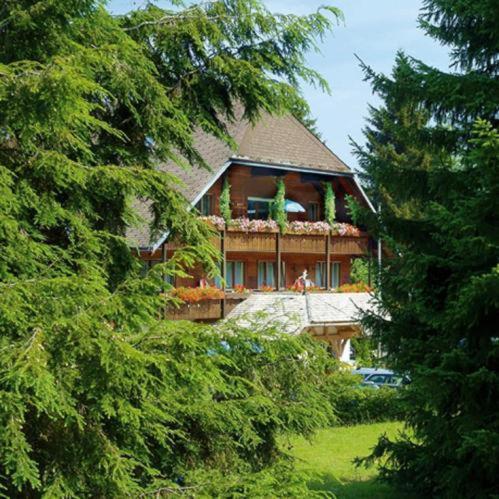 Hotel Garni Seebachstueble Titisee-Neustadt Eksteriør bilde